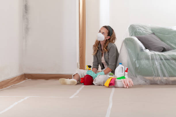 Reliable Mold Inspection And Testing contractor in Haddonfield, NJ by Car Mold Remediation